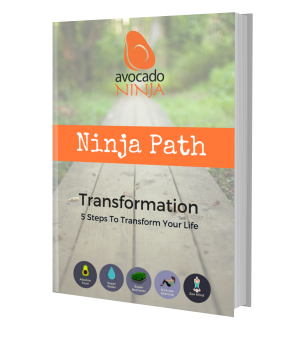 Ninja Path Transformation System